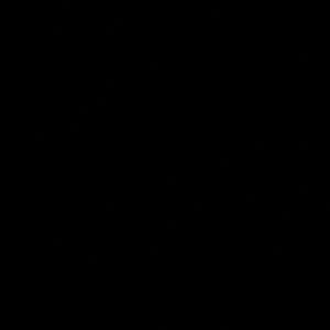 Meet your Posher, Lil